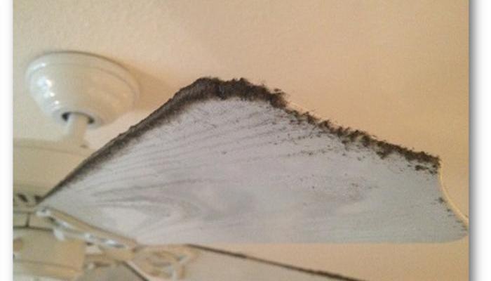 Seal ducts to reduce dust